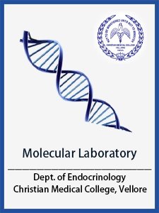 Endocrinology CMC Vellore - Molecular Endocrinology Laboratory